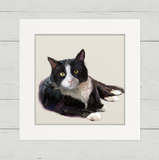 Feline Friends - Tuxedo Cat Happy Square