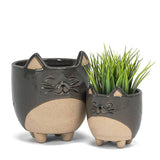 Sm Cat on Legs Planter-3" H
