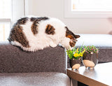 Sm Cat on Legs Planter-3" H