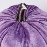 Moody Velvet Pumpkin Set