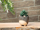 Sm Cat on Legs Planter-3" H