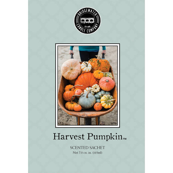 Harvest Pumpkin Sachet 9 Pack