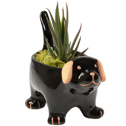 Black Dog Planter