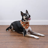 Fall Plaid Large Pet Bandana Set