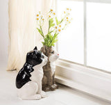 Sitting Cat Vase-Black & White-8"H