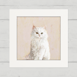 White Persian Cat Happy Square