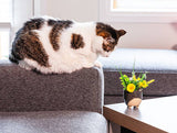 Sm Cat on Legs Planter-3" H