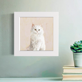 White Persian Cat Happy Square