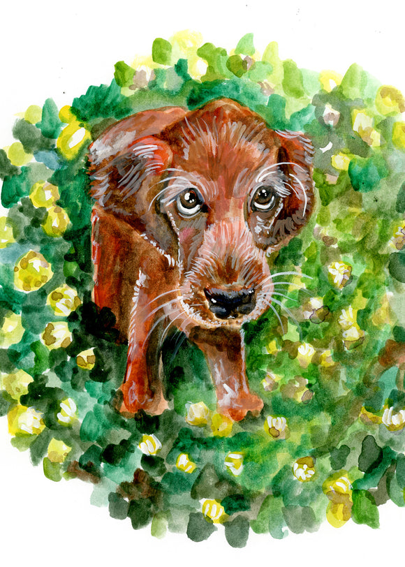 Watercolor Irish Setter by Carrie Hannegan