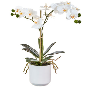 18.25” Real Touch Potted Orchid