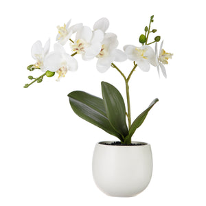 11.75" Real Touch Potted Orchid