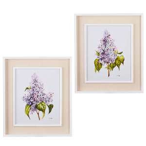 20.5" Lilac Framed Print - 2 Assorted