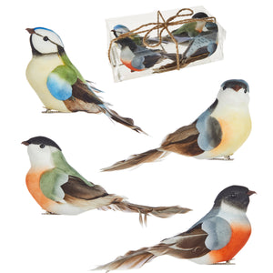 7" Box of Clip-On Feathered Birds