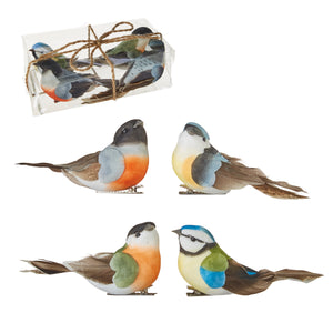 3.75" Box of Clip-On Feathered Birds