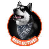 Reflective Dog Bandana in Blue - Small