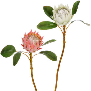 25” Protea Spray – 2 Assorted - Sold Separately