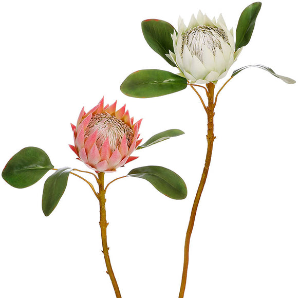 25” Protea Spray – 2 Assorted - Sold Separately