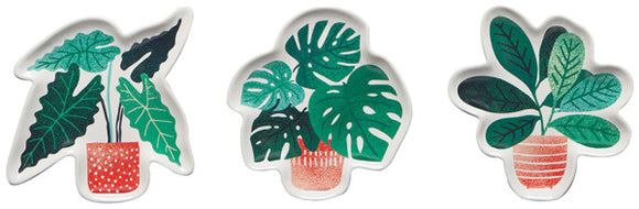 Let it Grow Plants Set of 3 Dishes