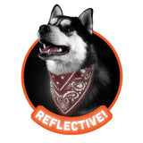 Reflective Dog Bandana in Red - Small