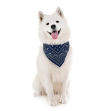 Reflective Dog Bandana in Blue - Small