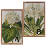 Floral Botanical Framed Print – 2 Assorted